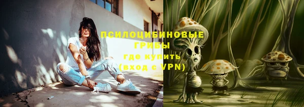 а пвп мука Бородино