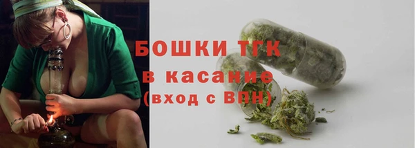 индика Бугульма