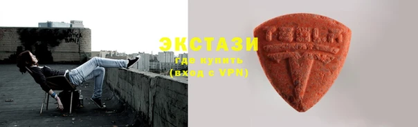 индика Бугульма