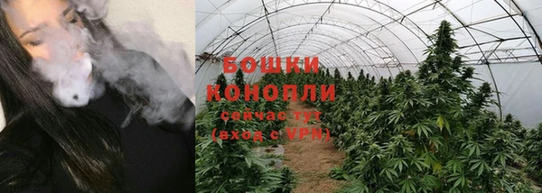индика Бугульма