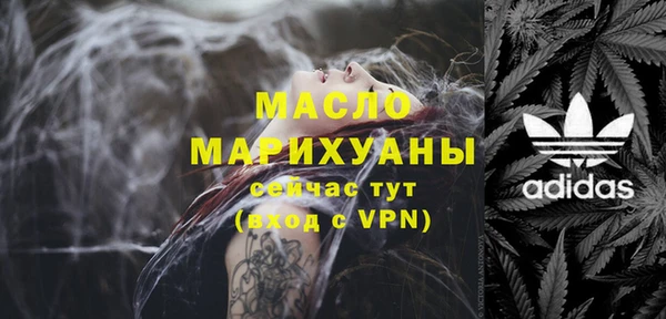 индика Бугульма